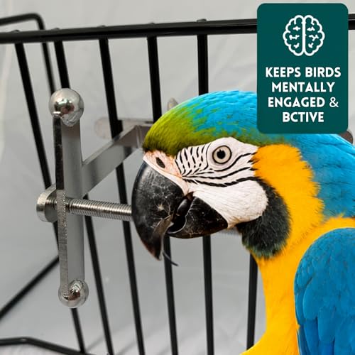Bird Toys for Large Birds (Spinner) Stainless Steel Bird Toy with Traveling Spinner | Macaw Toys | Durable Puzzle Enrichment Toy for Medium to Large Birds Cockatoos Parrots | Bird Cage Accessories - color: Spinner