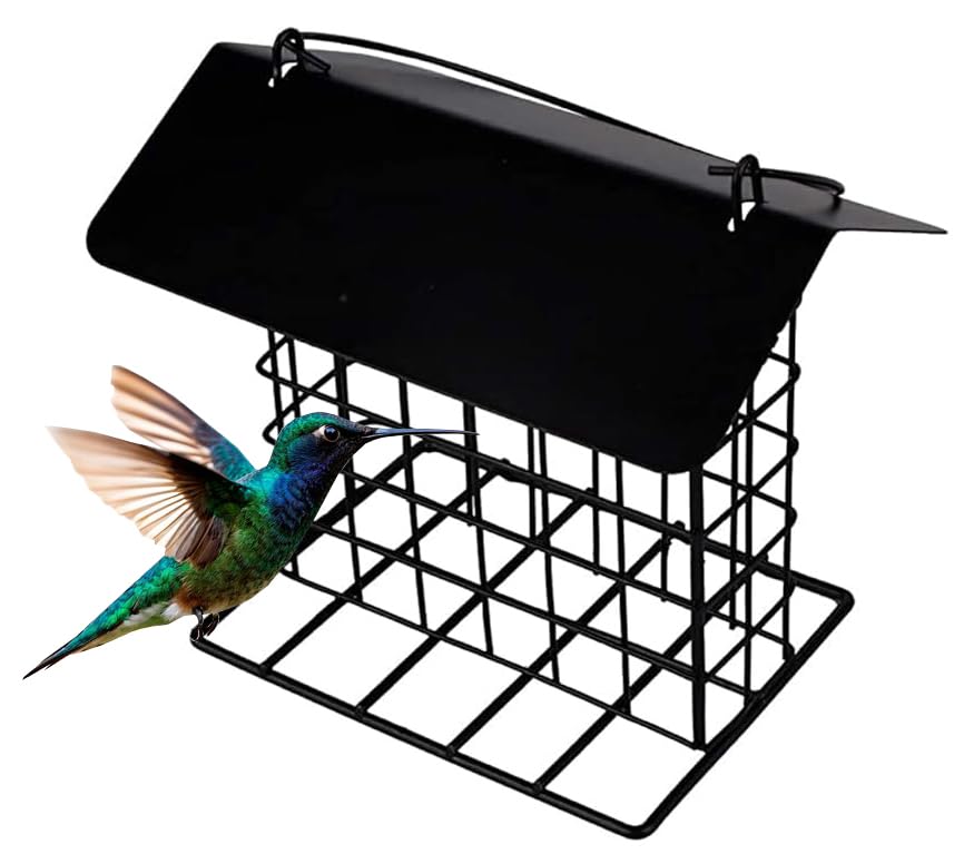Durable Roof Top Bird Parrot Suet Reusable Feeder Stand for Outside Garden Yard Patio Hanging Metal Suet Cake Holder Squirrel Proof Weatherproof for Wild Hummingbird Woodpecker - style: With Roof Top