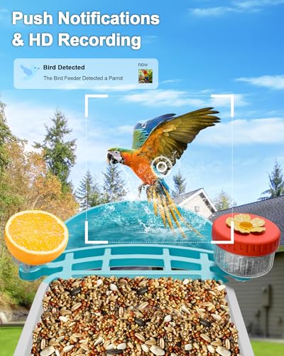 2-in-1 Smart Wild Bird Feeder & Bath with 4K HD Camera, AI Identification Solar Bird Feeder Watching Camera Night Vision for Outdoor Birds Watching Gifts for Birdlover, Blue - color: Blue & White