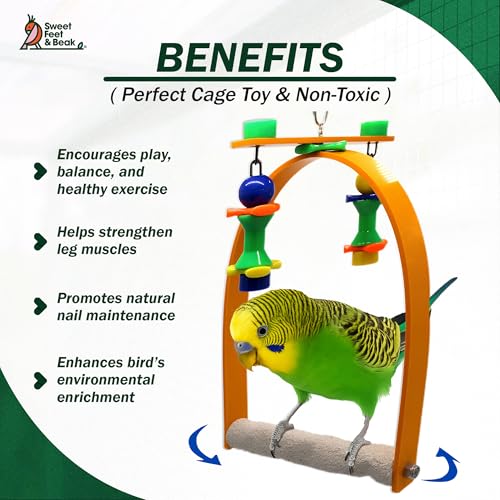 Sweet Feet and Beak Whirly Bird Swing, Medium Indoor Pedicure Perch - size: Medium