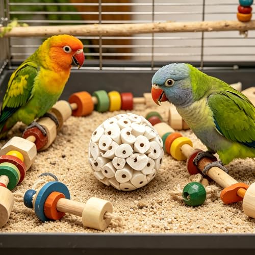 DQITJ 6 Pcs Bird Parrot Chew Toy Sola Balls Natural Soft Chew Shredding Parrot Foraging Toy Foot Ball for Cockatiel Conure Parakeet Bunny Guinea Pig