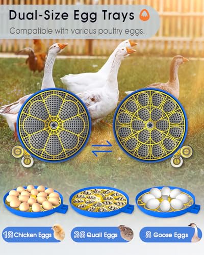 18 Eggs Incubator for Hatching Eggs with Automatic Egg Turning and Humidity Control, Egg Candler, External Water Bottle Refill, Hatch Days Display, 360° Clear View, for Chicken Duck Goose Quail Birds - size: 18 eggs