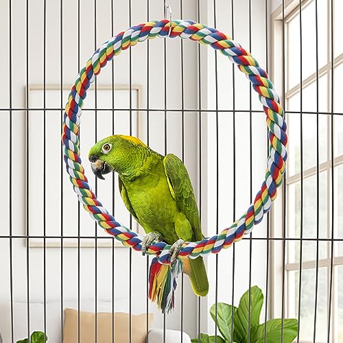 Wontee Bird Swing Colorful Rope Perch Climbing Toy for Parrots (M 10.4inch) | Soft cotton rope, colorful, supports balance, encourages climbing & swinging, for budgie/parakeet/cockatiel/conure - size: Medium (10.4 inch)