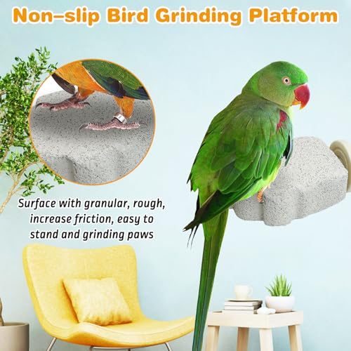 PINVNBY 6 PCS Bird Perch Parrot Beak Grinding Stone Calcium Mineral Parrot Perch Foot Claws Trimmer Chewing Toy Bird Cage Accessories for Small Medium Budgie Cockatiel Conure Lovebird (Grape)