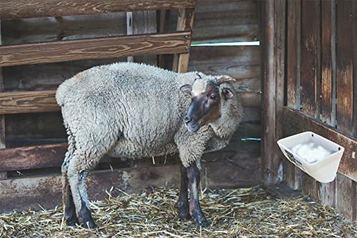 Chicken Feeder Waterer, Goat Feeder - 2 Pack, 5.5 Quart, for Goats Chickens Duck Sheeple Dogs Piglets Deers Gooses, Turkeys, Goat Supplies(Appearance Patent Product) - color: Dark green