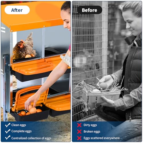 Chicken Nesting Box, 10-Hole Roll Away Egg Laying Box with Lid, Galvanized Steel Rustproof Design - Easy Egg Collection, Easy Clean Wall-Mountable Without Bracket, Orange - color: orange, size: 10 HOLES WITHOUT LEGS