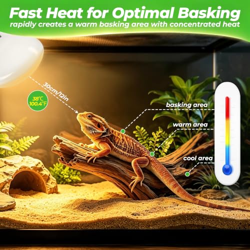 LUCKY HERP Reptile Heat Lamp Bulbs 100W, UVA Daylight Basking Bulbs 2 Pack | Fast Heating, Simulates Natural Sunlight, Ideal for Bearded Dragons Geckos Lizards Turtles Chameleons Amphibians & Chickens - size: 100