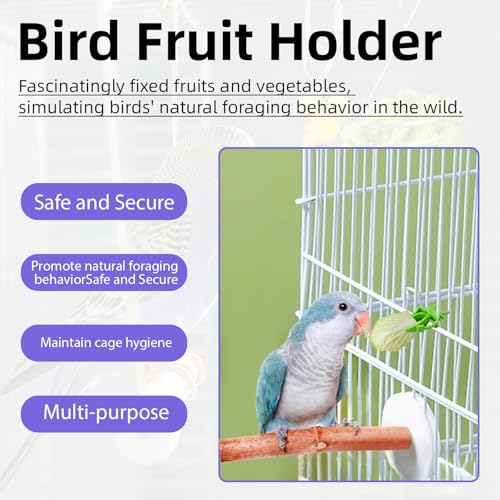 6Pcs Rat Enrichment Toys, Stainless Steel Rat Foraging Toy | Fruit Vegetable Holder, Bird Food Holder, Hanging Slow Feeder Clip, for Parrot Bird Rodents