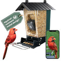 Perky-Pet SPCAM Perky-Pet Smart Bird Feeder with Camera - Squirrel-Resistant, 3.5 lb Capacity, Motion Activated 1080p HD, Wi Fi, SPCAM - Camera Feeder Gift Idea