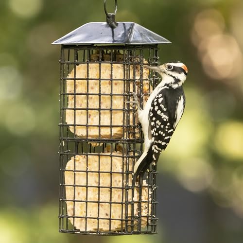 Wild Wings Metal Suet Cage Feeder for Outdoor Décor Wild Bird Feeders, 4 Suet Cakes Capacity, Hanging Suet Feeder, Black