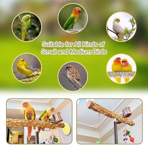 18-27 Inch Height Adjustable Bird Perch Pepper Wood Desktop Bird Training Perch Stand with Feeding Cups and Swing Toy Parakeet Perches Indoor and Outdoor Parrot Stand for Small to Medium Birds - size: Desktop Bird Perch with Feeding Cup
