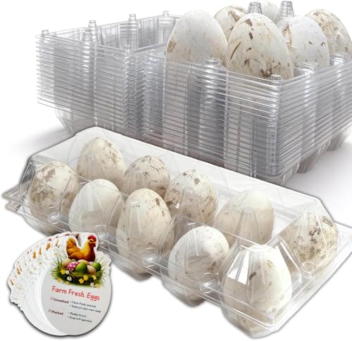 Plastic Goose Egg Cartons Cheap Bulk Empty Clear Large Duck Eggs Tray Holders Box for Farm Reusable Storage Container (20, 2×5)