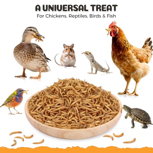 Dried Mealworms 5LB, 100% Natural High-Protein Chicken Treats & Wild Bird Food, Non-GMO Meal Worms for Laying Hens, Ducks, Bluebirds, Reptiles, Hamsters - size: 5 Pound (Pack of 1)