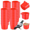40 Pcs Cage Cups Birds Feeders – Hanging Chicken Feeders & Waterers, Bird Water Dispenser, 8 oz Plastic Food/Water Bowl for Parrot, Pigeons, Quail, Gamefowl, Bunny, and Small Pets (Red)