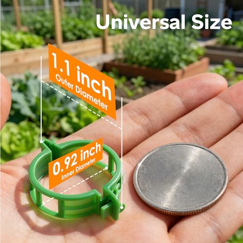 100Pcs Tomato Clips for Climbing Plants Trellis Plant Support Clips | Reusable Plastic Clips for Supporting Grape Tomato Vine and Vegetables Plants to Grow Upright Makes Plants Healthier (Green) - color: Green