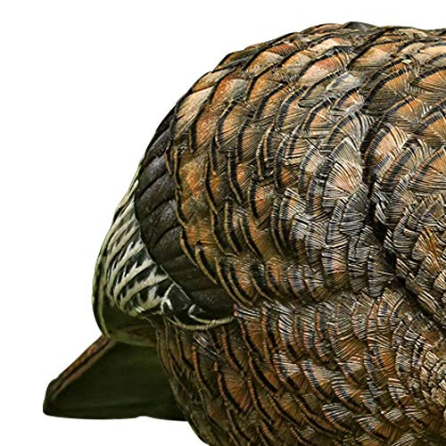 Avian X LCD Feeder Hen Turkey Decoy