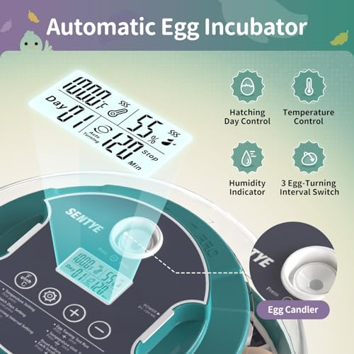 Automatic Egg Hatcher with LED Screen, Large Egg Incubator with Adjustable Turning & Humidity System, Transparent Lid Incubator for Chicken, Quail and Poultry Eggs (Holds 18 Eggs)