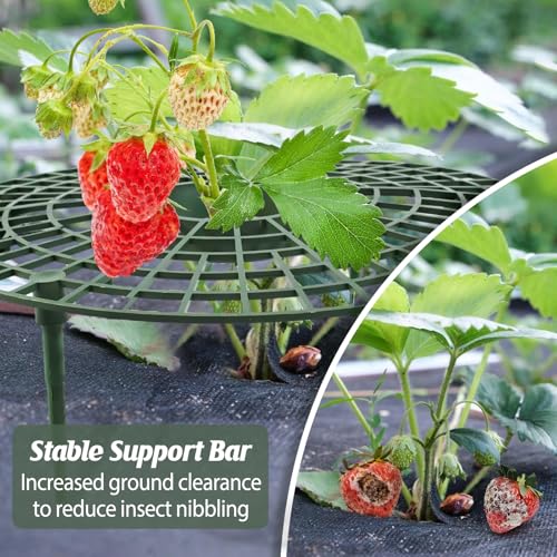 4 Sets Strawberry Plant Support with Mesh Plant Cover,Strawberry Growing Racks Sets with Iron Plant Nails and Storage Bag for Garden Strawberry Vegetables(Green Net - Round) - color: Green Net - Round