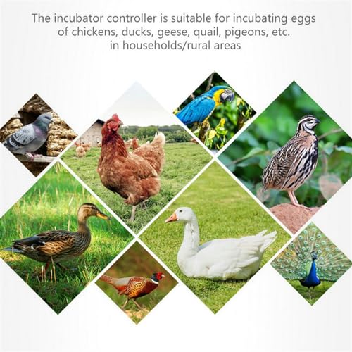 XM-18 Digital Egg Incubator Controller Multifunctional Thermostat Hygrostat Control with Temperature Humidity Sensor Probe