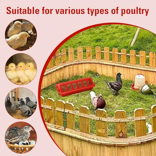 Chick Feeder and Waterer Set,Automatic 1L Hanging Chicken Waterer and Plastic Flip Top Chick Feeder for Baby Chicks,Ducks,and Quail,Brooder Starter Kit