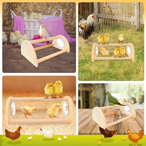 ALIBBON Mini Chicken Perch with Mirror Chick Strong Wooden Jungle Gym Roosting Bar Chicken Toys for Coop and Brooder Chick Training Perch for Large Bird Baby Chicks Parrot