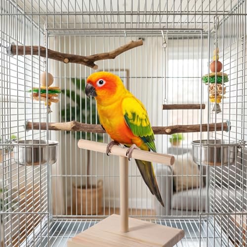 Bird Perch Stand, Bird Training Portable Tabletop Parrot Stand | Parakeet Perches for Cockatiels, Conures, Macaws, Finches Lovebirds