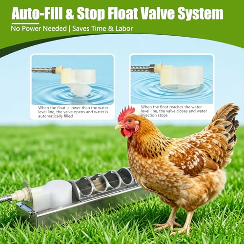 Automatic Chicken Waterer Stainless Steel Poultry Fountains Chicken Waterer System Water Dispenser Waterer Float Controlled for Duck Goose Pigeon Quail