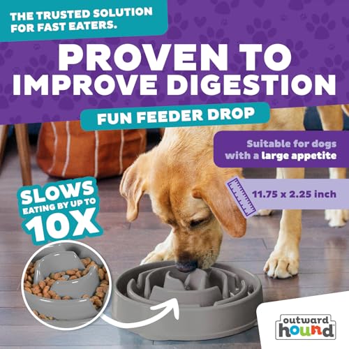 Outward Hound Fun Feeder Slo Bowl – Large 4‑Cup Capacity,Slow Feeding,Medium to Large Dogs,Non‑Slip,Gray,Drop Pattern,(Pack of 6) - color: Gray, size: Large (Pack of 6)