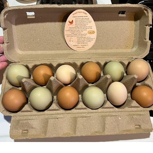 255PCS Fresh Farm Egg Handling Instruction Cards - Premium 2.7 X 3.5 Inches - Eggs Shape Style - Egg Stamps for Eggs Care Egg Cartons Cheap Bulk - Egg Stamps for Fresh Eggs for Egg Cartons Reusable