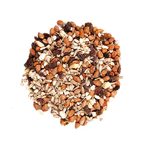 Wagner's 82072 Gourmet Nut & Fruit Wild Bird Food, 5 Pound (Pack of 1) - size: 80 Ounce (Pack of 1)