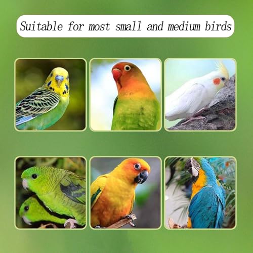 Automatic Acrylic Bird Feeder for Cage, No Mess Bird Feeder for Cage | Suitable for Bird Parrots, Canary, Parakeet, Budgerigar, Crested Myna, Cockatiel (XL) - size: XL
