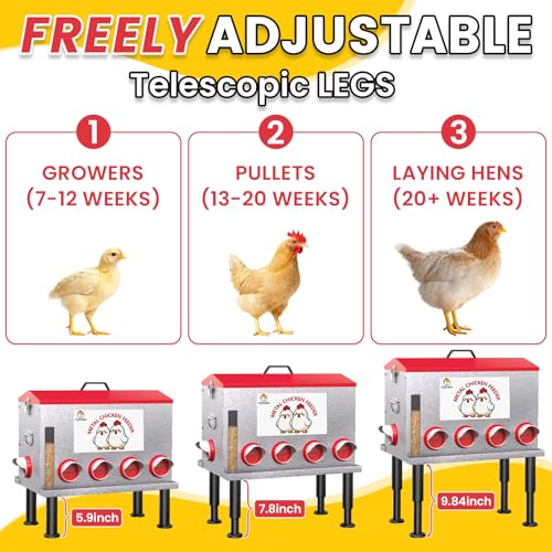 16-Gal Metal Automatic Chicken Feeder with No-Waste Feeding Tray | 88LB Capacity, 8 Feeding Ports, Rust-Proof Alloy Steel, Clear Viewing Window, Height-Adjustable Legs for Chicken Coops - color: Red, size: 16GAL-88LB