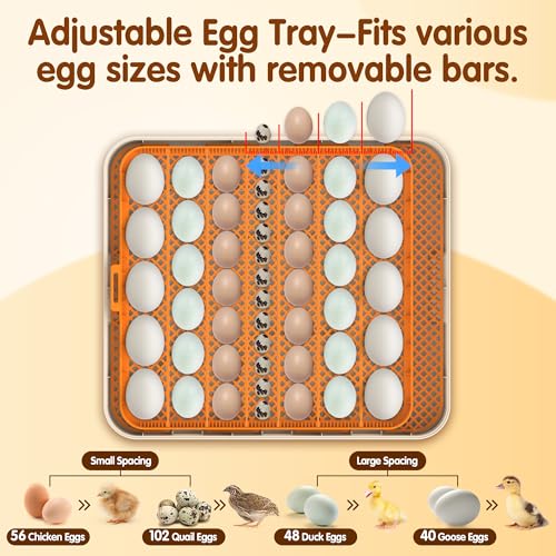 56 Egg Incubators for Hatching Eggs with Auto Egg Turner, Automatic Humidity & Temperature Control, LED Candle Light, Hatch Days Display, 360° View for Chicken, Duck, Goose, Quail, Bird Eggs - size: 20.0"L x 8.0"W x 18.0"H