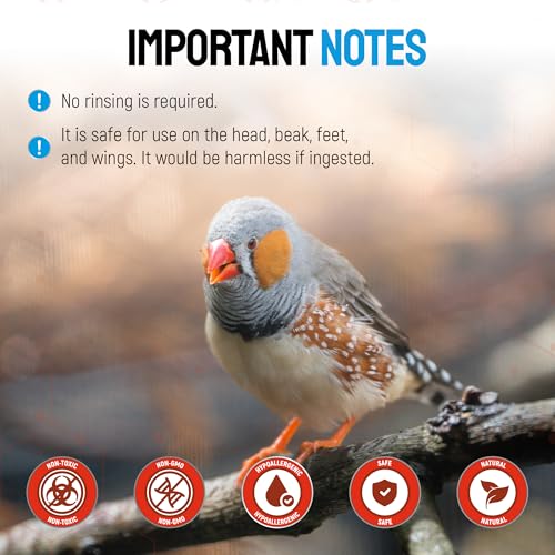 Wound Spray for Chicken – Birds & Chicken Antibiotics Alternative to Help with Pecking Sores, Bumblefoot, Cuts – Poultry Spray with Silver – GMOs Free – 4-Oz Bottle