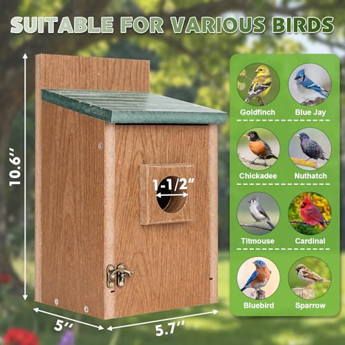 Gtongoko Recycled Plastic Bluebird Houses for Outside 1-1/2" Entrance Green | Predator Guard, Elevated Mesh Floor, Climbing Grooves, Clean-Out Door, Air Ventilation for Bluebirds, Swallows & Chickadees - color: Green & Brown-1 Pack