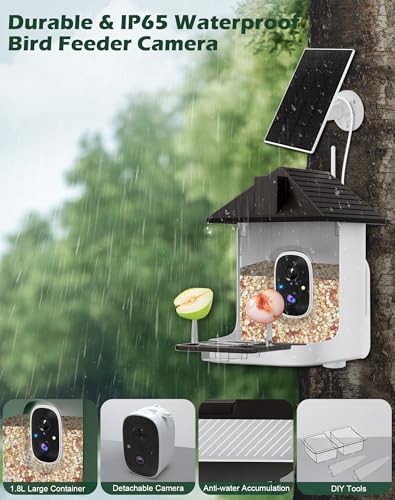 Smart Bird Feeder with Camera,5200mAh Battery with Solar Panel, 4K Native Resolution Live View, AI Species Identification, Auto Capture & Instant Arrival Alert, Ideal Gift for Bird Lovers (Dark Grey) - color: Dark Grey