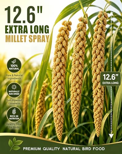 TINYFIELD Millet Spray for Birds, Parakeet Budgie Cockatiel Parrot Treats Snacks (0.5 Pound) | Real Fish Included, Seeds & Nuts Blend