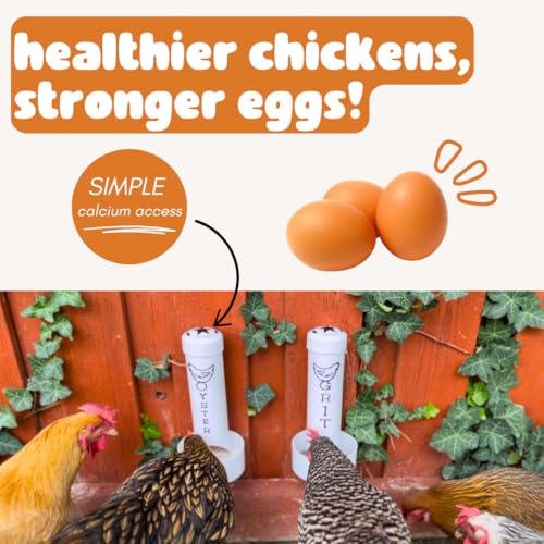 Oyster Shell Feeder for Chickens