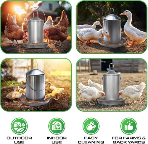 Plexon Automatic Chicken Feeder 2.9KG/6.6lbs – Heavy-Duty 304 Stainless Steel Poultry Feeder, Rust-Proof, Top-Fill Design, Easy to Clean, Weather-Resistant