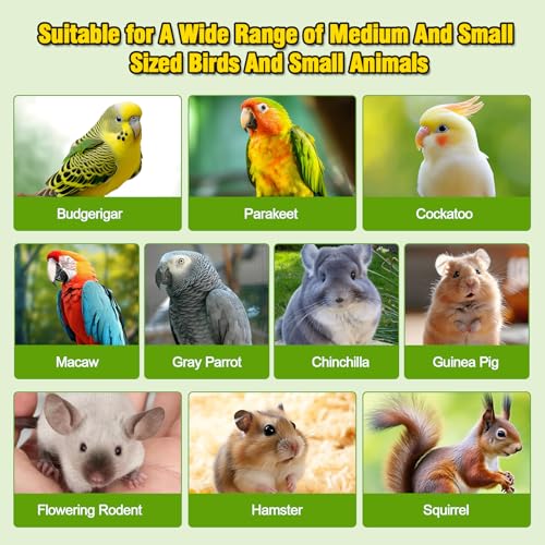 2PCS 13.8x7.9 inches Large Bird Perch Stand Wooden Parakeet Stand Platform Parrot Cage Accessories Rectangle Corner Stand Perch Shelf for Budgie Cockatiel Conure Macaw African Grey Chinchilla