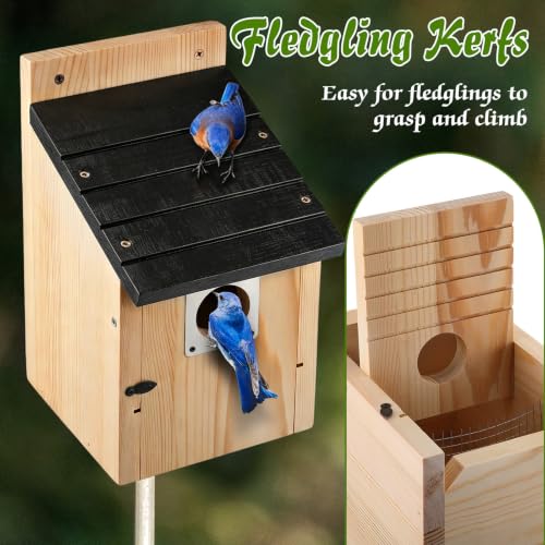 Dreyoo 4 Pack Bluebird Houses for Outside with Metal Predator Guard, 1-1/2" Entrance Hole Wooden Blue Bird Houses for Outdoors, Bluebird Nesting Box(Black Roof, Wood Body) - color: Black Roof, Wood Body