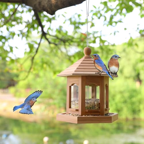 Wooden Bird Feeder for Outdoors Hanging, Red Cedar Hexagon Shaped Large Capacity, Cardinal Birdfeeder for Garden Decoration Yard, Weatherproof and Durable(Medium) - size: Medium
