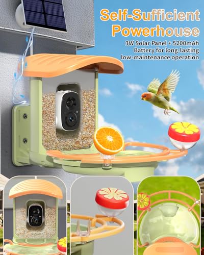 Bird Feeder with Camera, 2K HD Camera Birds Feeder with AI Bird Recognition, Solar Powered Smart Birdfeeder with Bath, App Control, Color Night Vision, Gift Box Package, Easy Install - color: Green, size: Bath