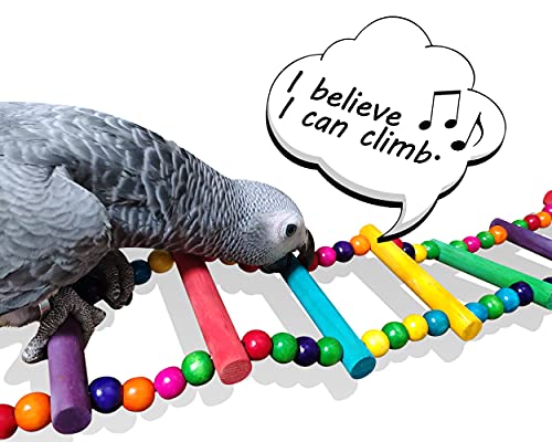 Bird Ladder Toys Coloured Flexible Parrot Swing Bridge Wooden Cockatiel Cage Hanging Climbing Ladder (39 in (16 Steps)) - size: 39 in (16 Steps)