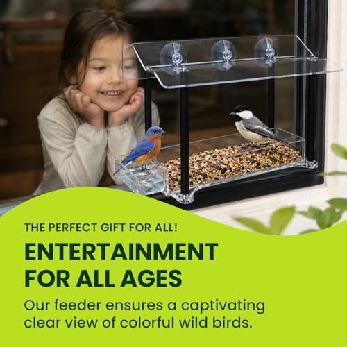 Window Bird Feeder with Strong Suction Cups, Clear Acrylic Window Mounted Bird Feeder, Weather-Resistant, Durable, Squirrel-Resistant, Column Style - size: Column