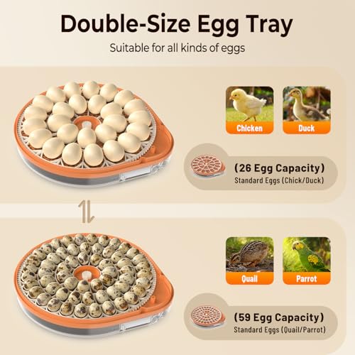 Incubators for Hatching Eggs with Smart Voice Assistant, 26 Eggs Incubator with Automatic Egg Turner and Humidity Control, LED Egg Candler, Incubation Days Display, for Chicken, Duck, Goose, Bird Eggs - size: 26 Chicken Eggs with Voice Assistant