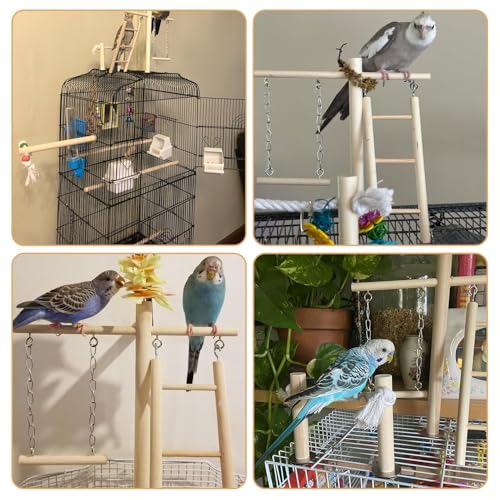 PINVNBY Bird Playground, Wood Parrot Play Gym Stand Perch Bird Cage Accessories for Small and Medium Parakeet Cockatiel Conure Love Birds Finch