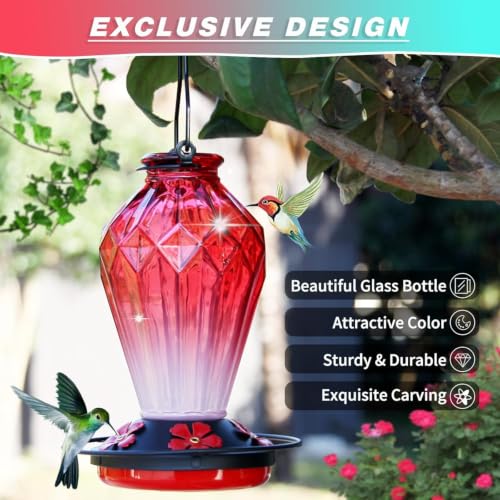 2 Pack Glass Hummingbird Feeder for Outdoors Hanging, 25Oz Humming Bird Nectar Feeder, Perch, 5 Flower Feeding Ports, Leak Proof Base, Hook for Outside Garden Backyard, Gift for Women, Diamond Red - color: Diamond Red-2