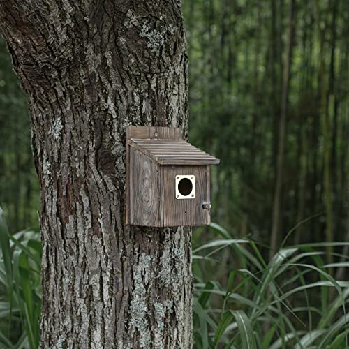 6-piece Metal Bluebird House Predator Guard，Metal Birdhouse Guard，Bird House Hole Protector Guard for Eastern Bluebird Box （3.81 cm Opening）