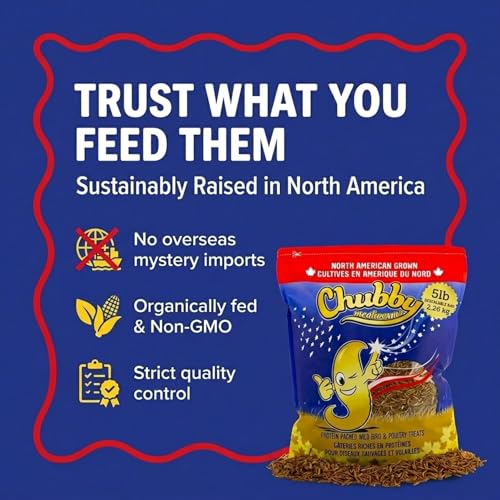 Chubby North American Grown Dried Mealworms | 5 lbs | Non-GMO High-Protein Treats for Chickens, Ducks & Wild Birds – Sustainable Chicken Feed - size: 5 Pound (Pack of 2)